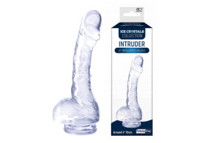 Intruder 4