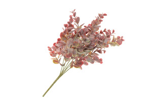 eukalyptus listy červený 35cm