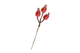 zápich šípky červené 20cm