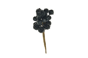 zápich bobule černé 15cm