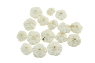 dekorace paras white 50g přírodní