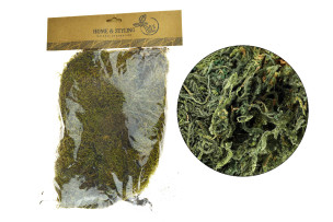 dekorační moss 100g
