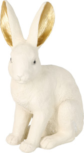 zajíc zlaté ucho 26x14X36