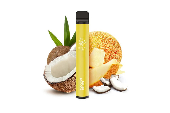 detail ELF BAR 600 Coconut Melon