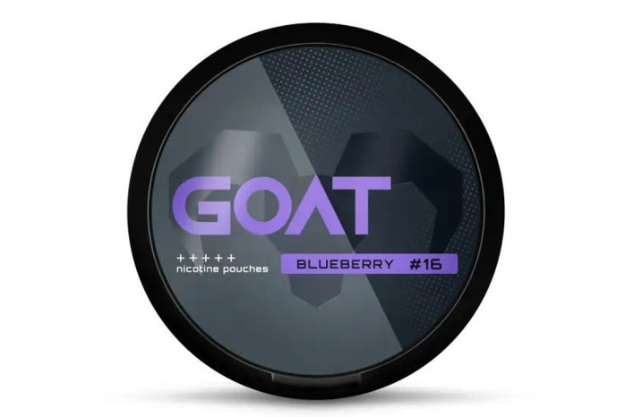 detail GOAT nikotinové sáčky Bluberry 14gr