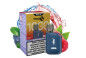 náhled Venix Relx KIT 1000 Blueberry Raspberry 2ml